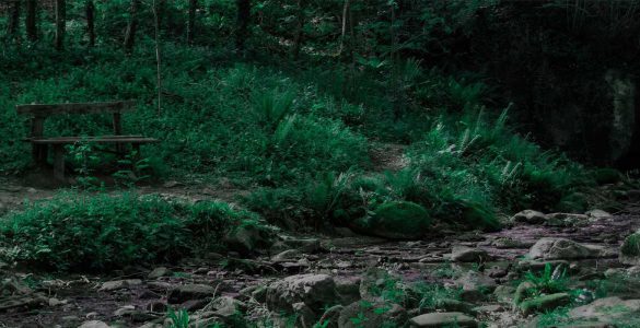 Halloween: la noche de brujas en Zugarramurdi