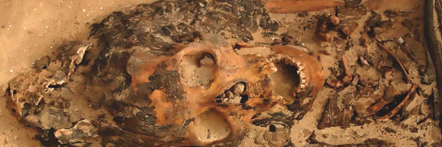 Encuentran la Primera Evidencia-de-Antiguas Cabezas de Cono en Egipto. Legados del Misterio