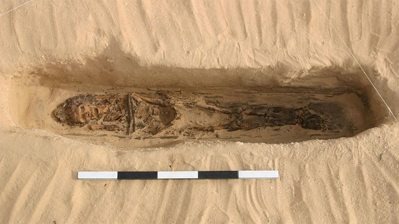 Primera evidencia Conos en la Cabeza Egipto. Legados del Misterio